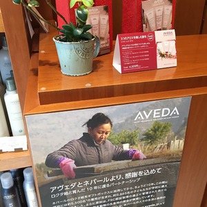 AVEDA ホリデーギフト２０１７